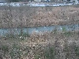 平山橋付近のカメラ画像
