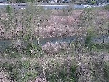 平山橋付近のカメラ画像