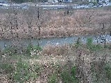 平山橋付近のカメラ画像