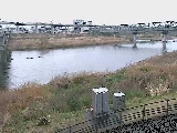 相模川 相模大橋付近のカメラ画像