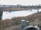 相模川 相模大橋付近のカメラ画像