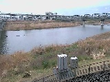 相模川 相模大橋付近のカメラ画像