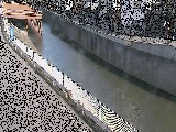 境川 境橋付近のカメラ画像