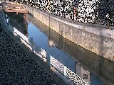 境橋付近のカメラ画像