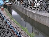 境川 境橋付近のカメラ画像