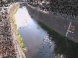 蓼川 上土棚新橋付近のカメラ画像