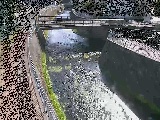 蓼川 松山橋付近のカメラ画像