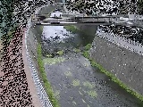 松山橋付近のカメラ画像