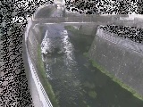 松山橋付近のカメラ画像