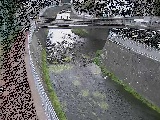 蓼川 松山橋付近のカメラ画像