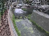 蓼川 松山橋付近のカメラ画像