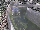 松山橋付近のカメラ画像