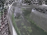 蓼川 松山橋付近のカメラ画像