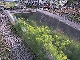 永池橋付近のカメラ画像