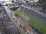 永池川 永池橋付近のカメラ画像