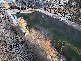 永池橋付近のカメラ画像