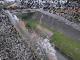 永池橋付近のカメラ画像