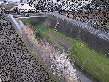 永池橋付近のカメラ画像