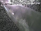 永池川 永池橋付近のカメラ画像