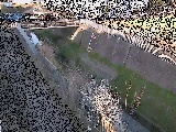 永池橋付近のカメラ画像
