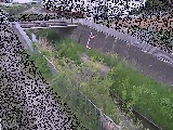 永池川 永池橋付近のカメラ画像