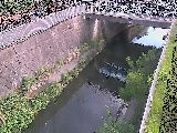 吉野橋付近のカメラ画像