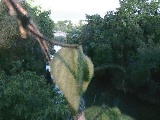 海老名分水路付近のカメラ画像