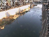 大山橋付近のカメラ画像