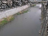 大山橋付近のカメラ画像