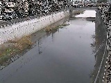 大山橋付近のカメラ画像