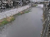 大山橋付近のカメラ画像