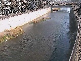 大山橋付近のカメラ画像