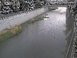 引地川 大山橋付近のカメラ画像