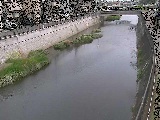 引地川 大山橋付近のカメラ画像