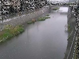 大山橋付近のカメラ画像