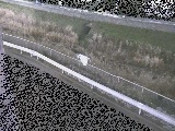 高橋付近のカメラ画像