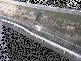 境川 高橋付近のカメラ画像