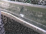 高橋付近のカメラ画像