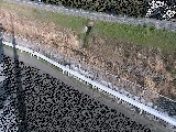 高橋付近のカメラ画像