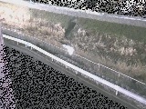 高橋付近のカメラ画像