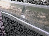 境川 高橋付近のカメラ画像