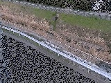 高橋付近のカメラ画像