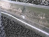 高橋付近のカメラ画像