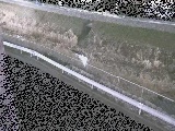 境川 高橋付近のカメラ画像