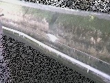 高橋付近のカメラ画像