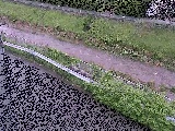 境川 高橋付近のカメラ画像