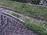 高橋付近のカメラ画像