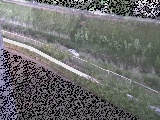 高橋付近のカメラ画像