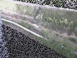 境川 高橋付近のカメラ画像