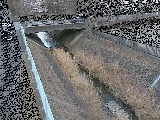 境川 寿橋付近のカメラ画像